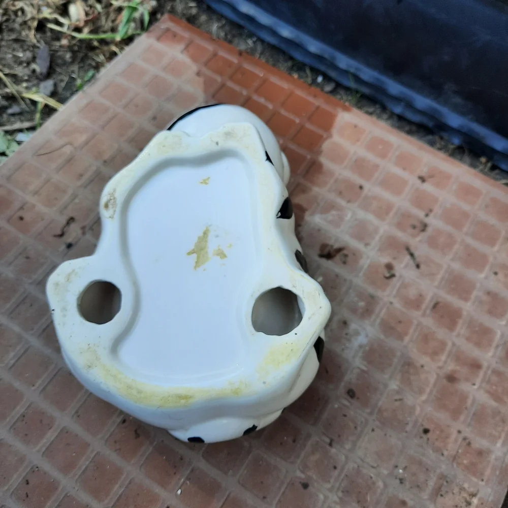 Water/Food dish